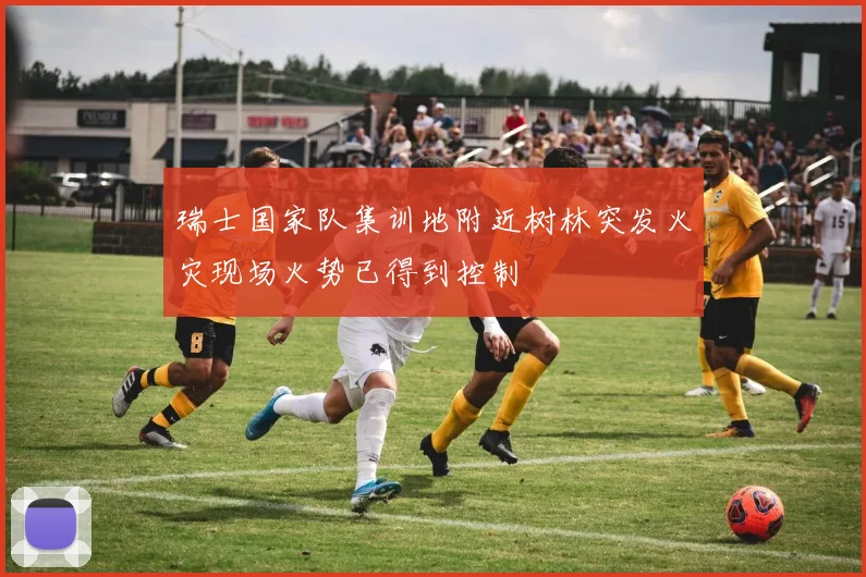 瑞士国家队集训地附近树林突发火灾现场火势已得到控制