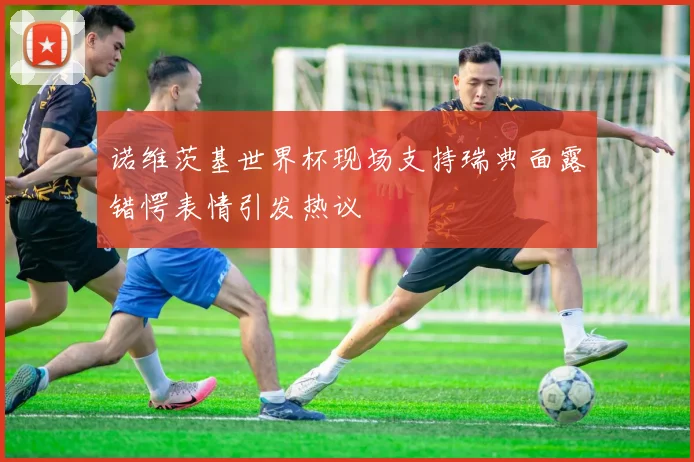 诺维茨基世界杯现场支持瑞典面露错愕表情引发热议